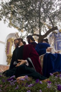 misterio-para-el-huerto-de-lucena-16